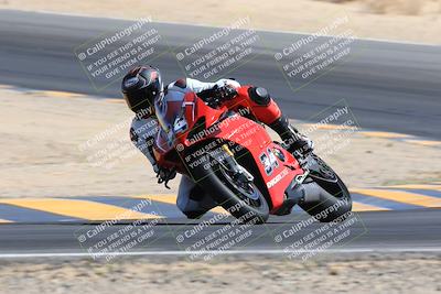 media/May-13-2023-SoCal Trackdays (Sat) [[8a473a8fd1]]/Turn 10 (920am)/